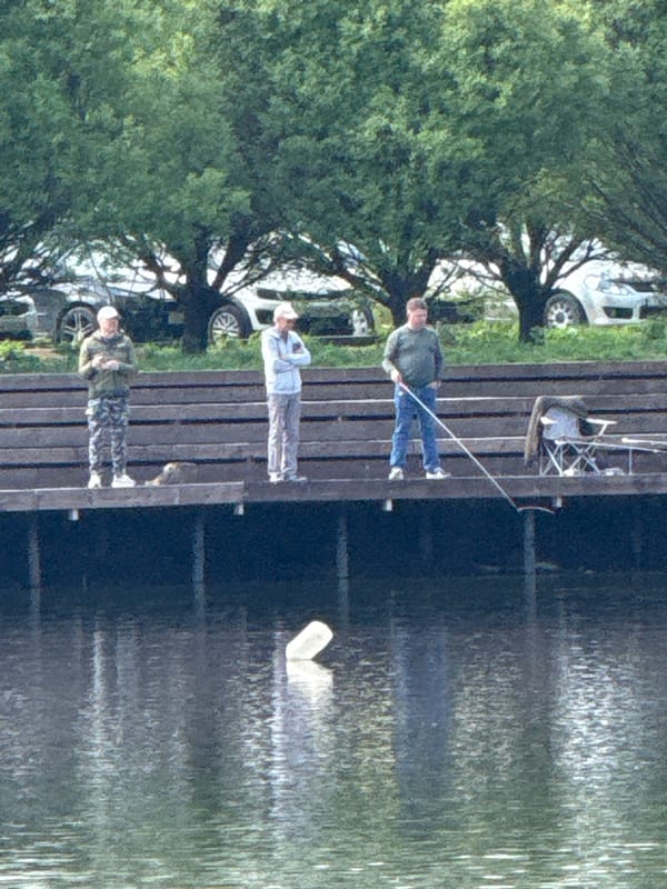 Morning fishing gathering observed at Dmitrov waterfront pier