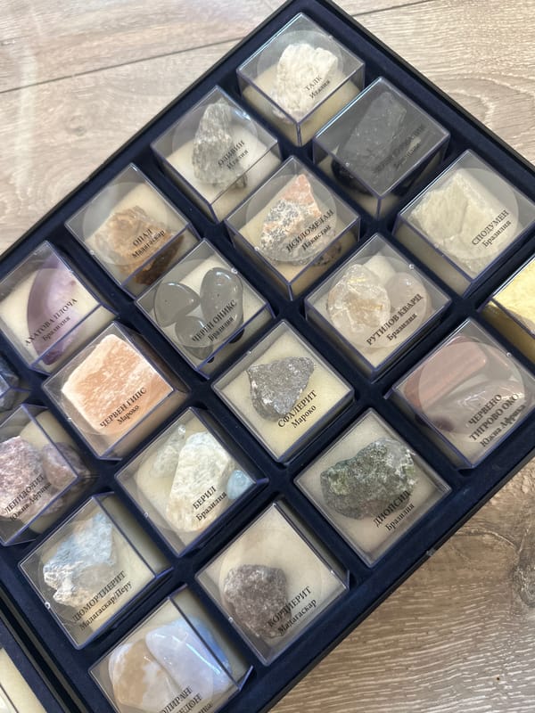 Mineral collection display documented in Sofia, Bulgaria