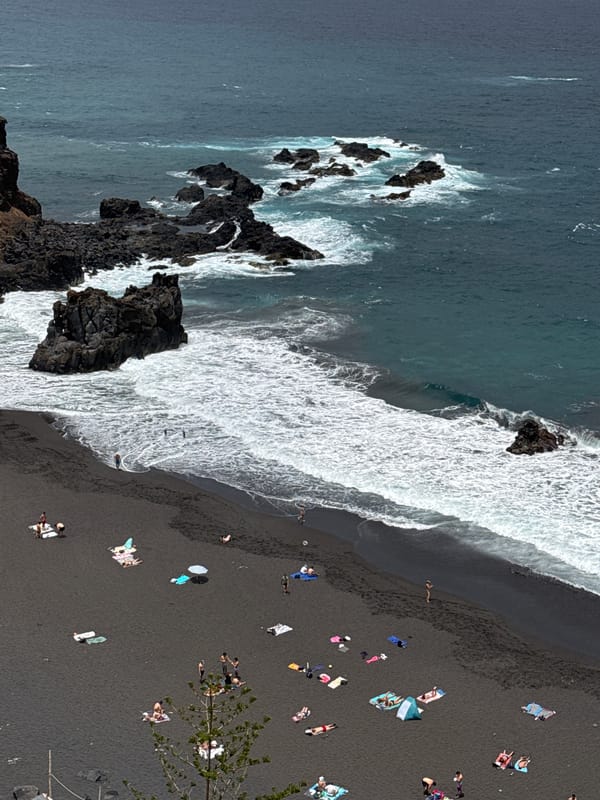 Black sand beach day: surf, sunbathers, and coastal lizards