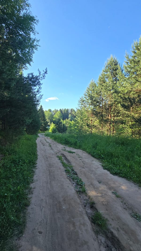 Rural dirt road photographed in Chaikovsky, Russia