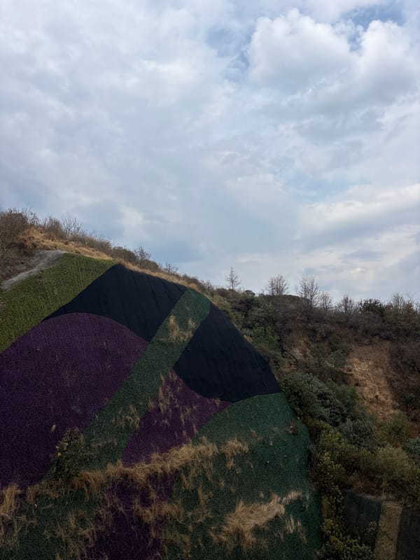 Evening snapshots of daily life in Mexico suburbs