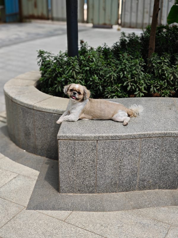 Morning snapshots capture daily life across Mumbai