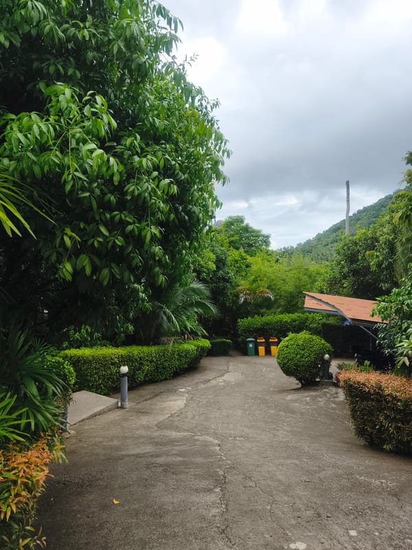 Morning drive through rainy tropical Ko Samui landscapes documented
