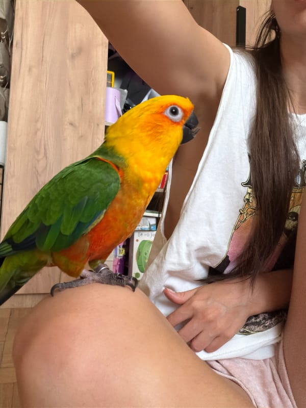 Peaceful pet moments captured in Khimki home