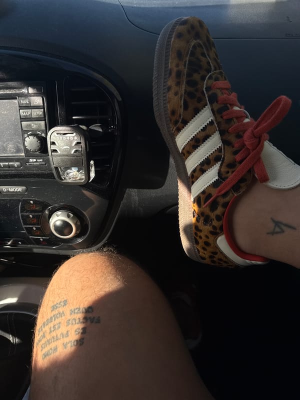 Car interior photographed in Schifflange, Luxembourg during daylight