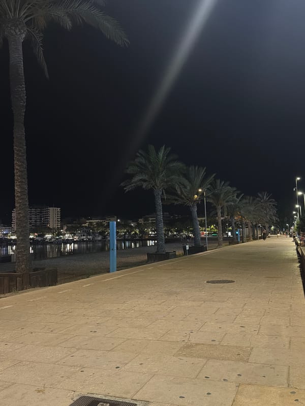 Sant Antoni de Portmany waterfront at night, orange moon overhead