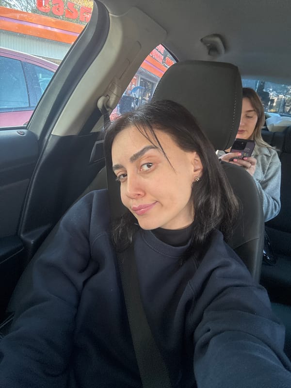 Woman photographed in car on Tbilisi street
