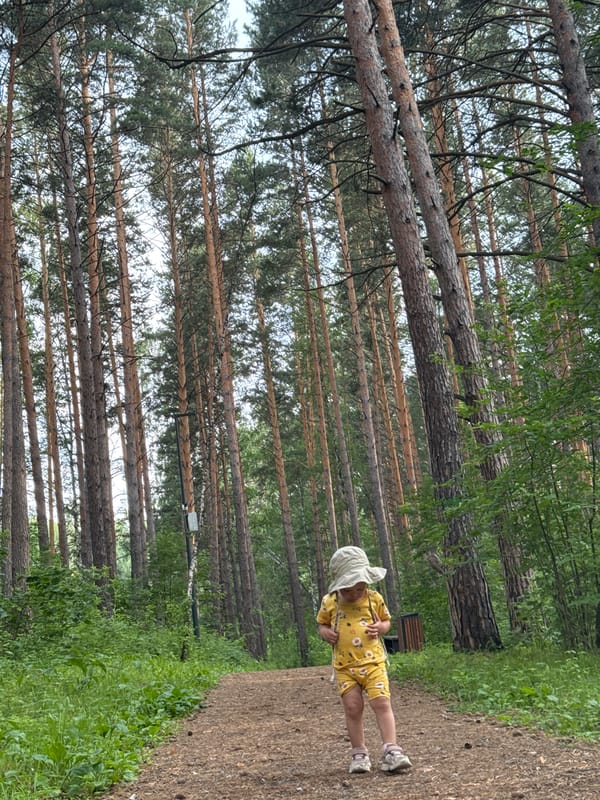 Toddler exploring a pine forest park in Krasnoyarsk