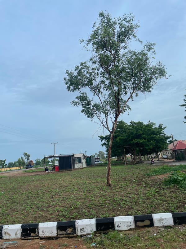 Inside a gated residential compound in Jauro Yinu, Nigeria