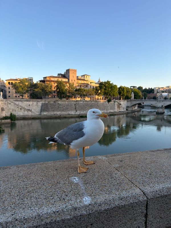 Rome's Ponte Sant'Angelo captured in evening memories