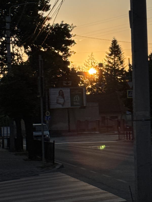 Sunset along a Chernivtsi street, trees and wires in silhouette