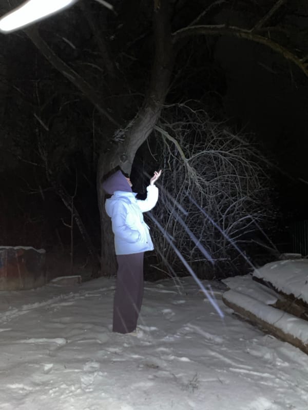 Winter recreation and social activities documented in Pozim', Russia