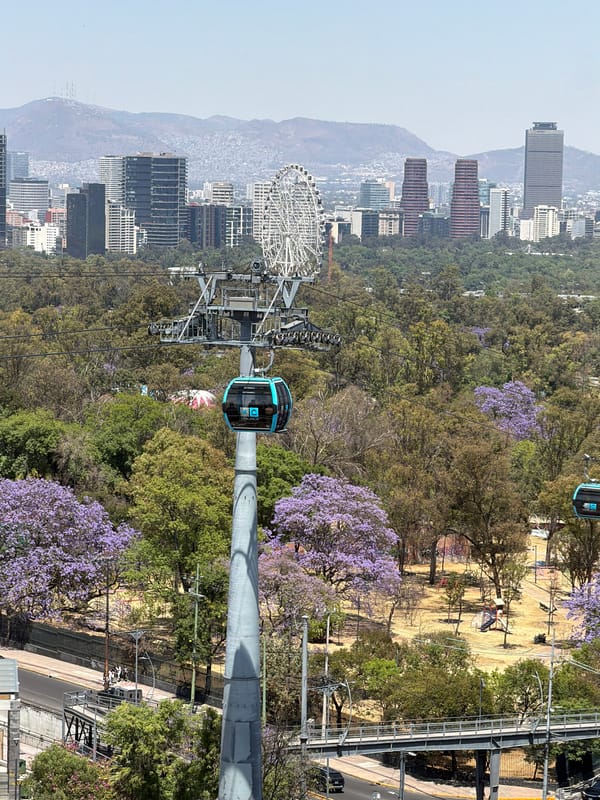 Elevated views of Chapultepec Park captured across Mexico City