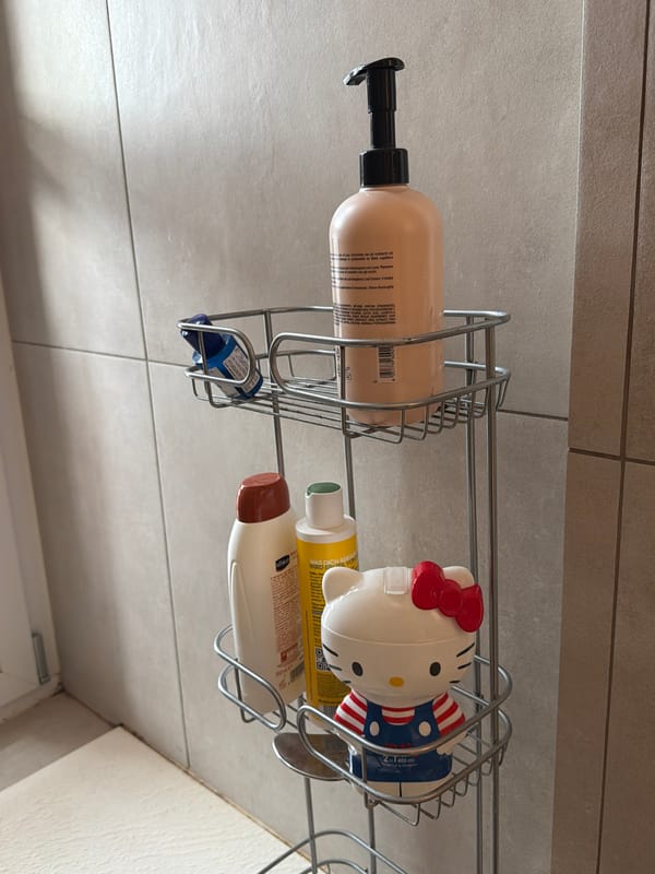Bathroom shelf with personal care items spotted in Milan