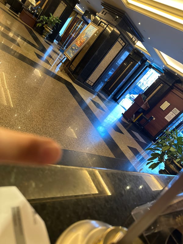 Hotel lobby photographed in Sofia, Bulgaria early morning