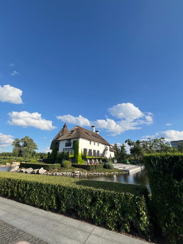 Lakeside park in Dnipro with thatched buildings, wildlife, and greenery