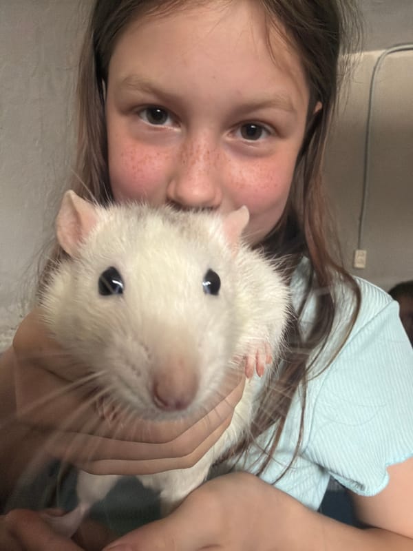 Girl plays with pet rats, rhubarb emerges in Dubovaya
