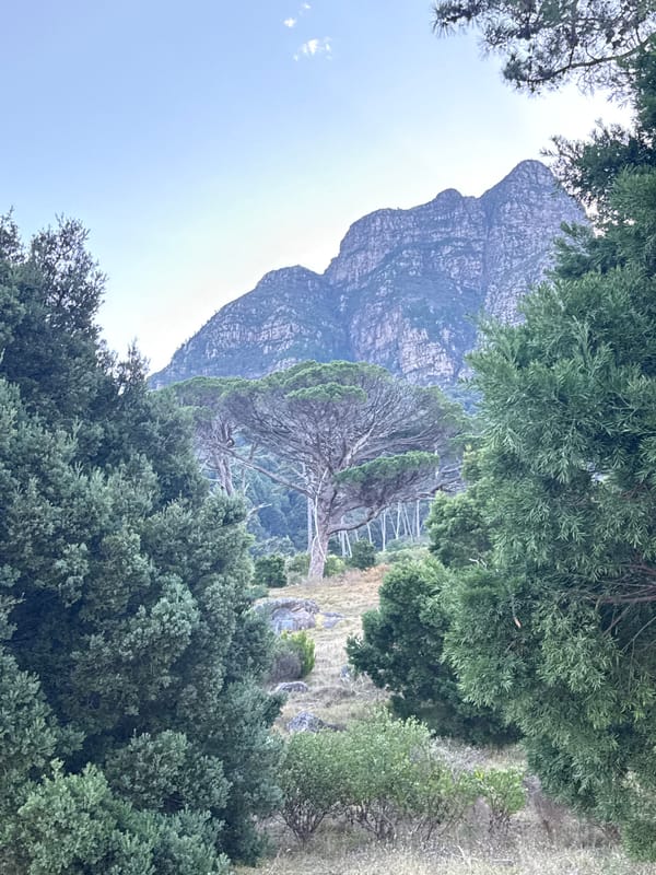 Smoke spotted over Cape Town residential area