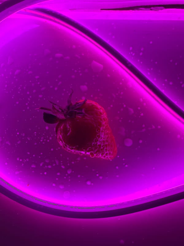 Woman enjoys fresh strawberry in Saint Petersburg restaurant area