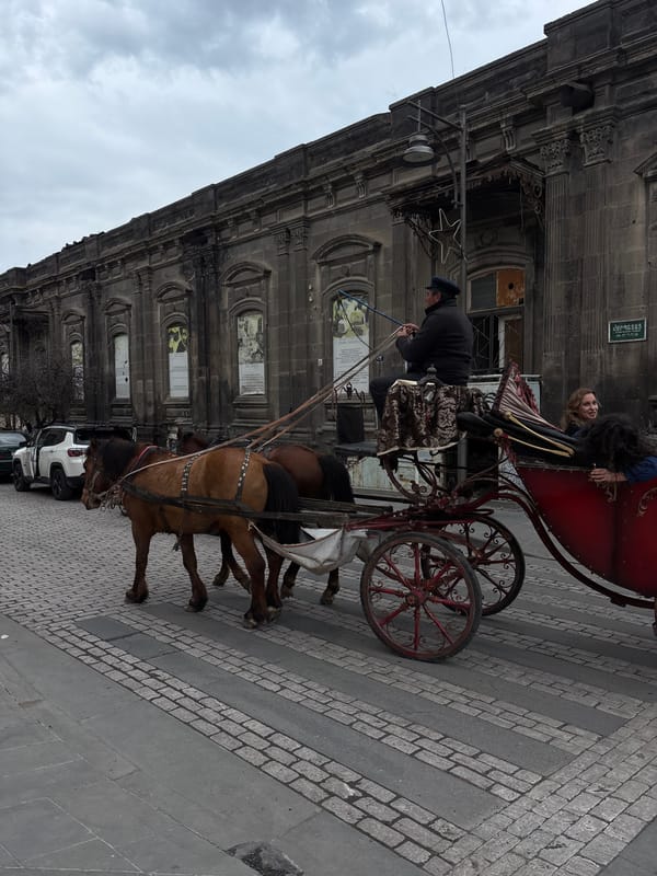 Horse-drawn carriage spotted on streets of Gyumri, Armenia