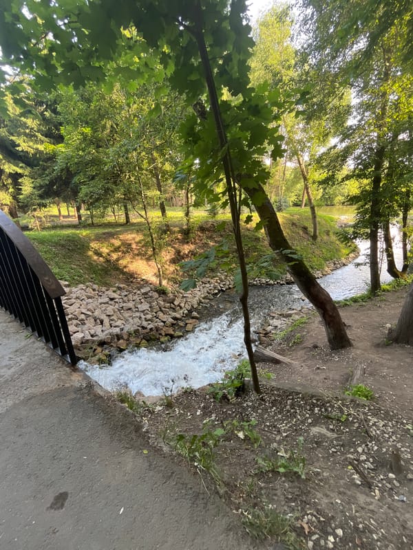 Rocky stream runs through a park in Vysokaya Gora