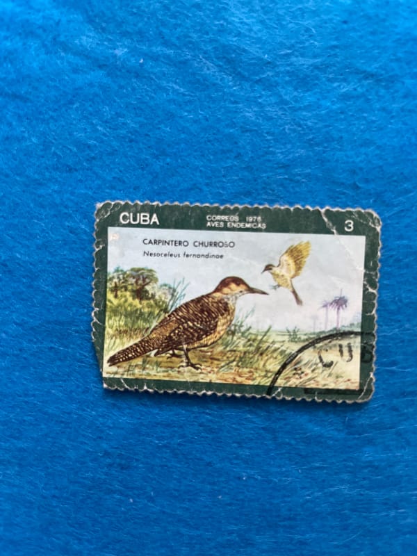 Soviet-era and thematic postage stamps photographed in Perm