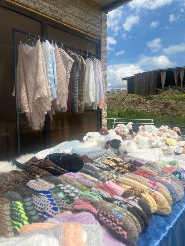 Mountain canyon views and handcraft market finds in Arani