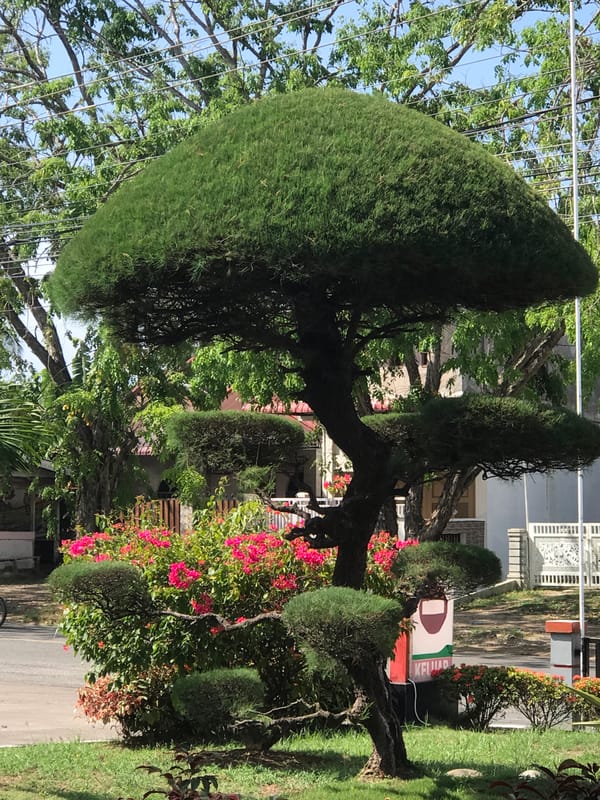 Morning street scenes documented in Lhokseumawe, Indonesia
