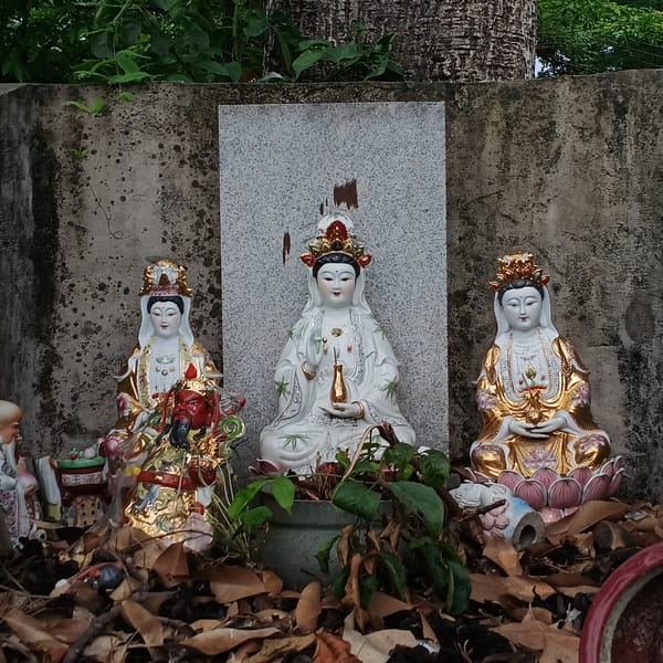 Religious statues and riverside architecture documented in Shunde District