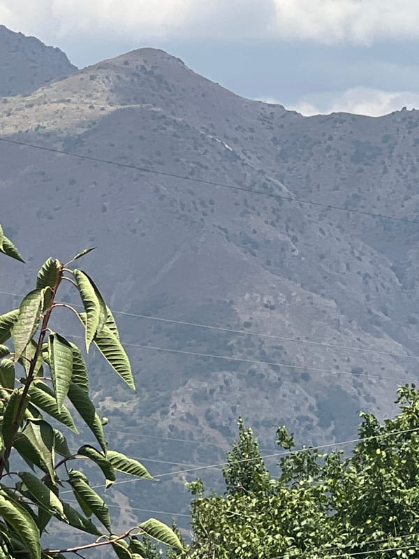 Mountain and tree views from Yusuphana, Uzbekistan