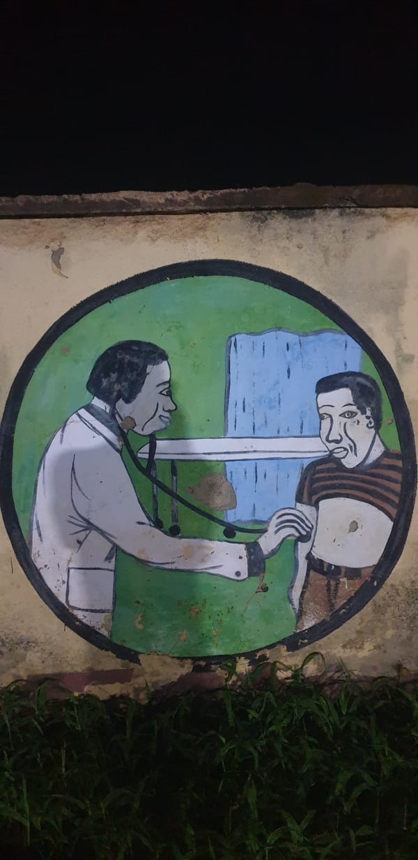 Street art and business murals documented in Kaduna neighborhoods
