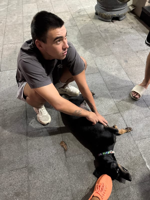 Rainy night in Nha Trang, centered on a black dachshund