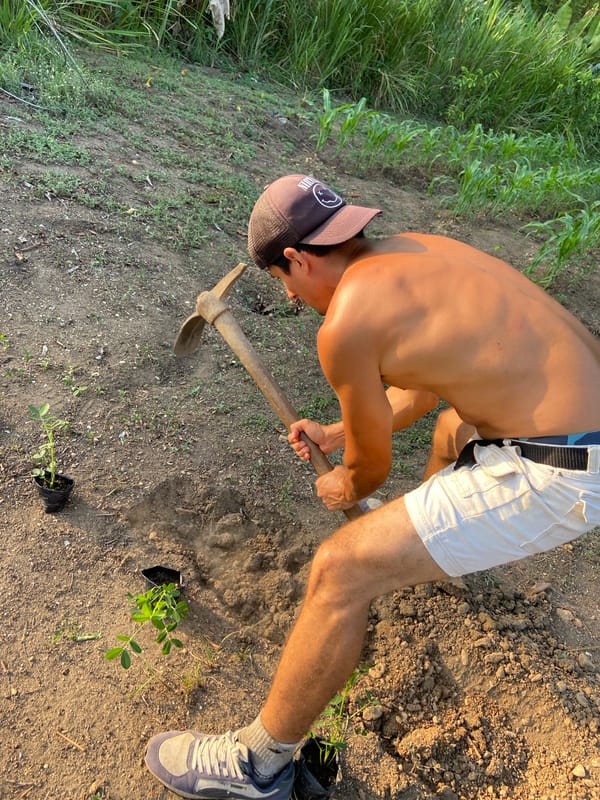 Man conducts day-long farming and personal activities in Venezuelan village