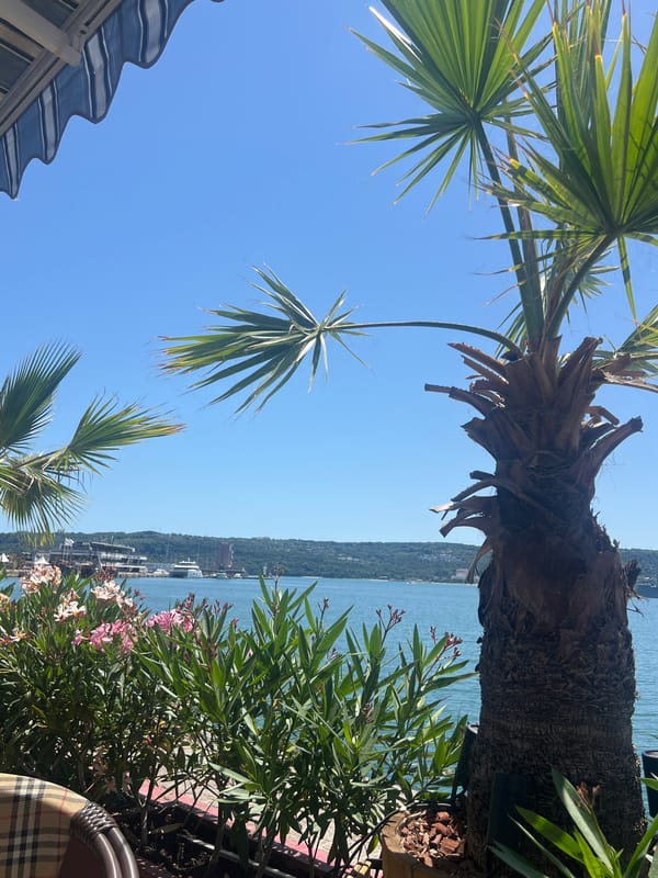 Sunny Black Sea waterfront in Varna, palms and blue skies