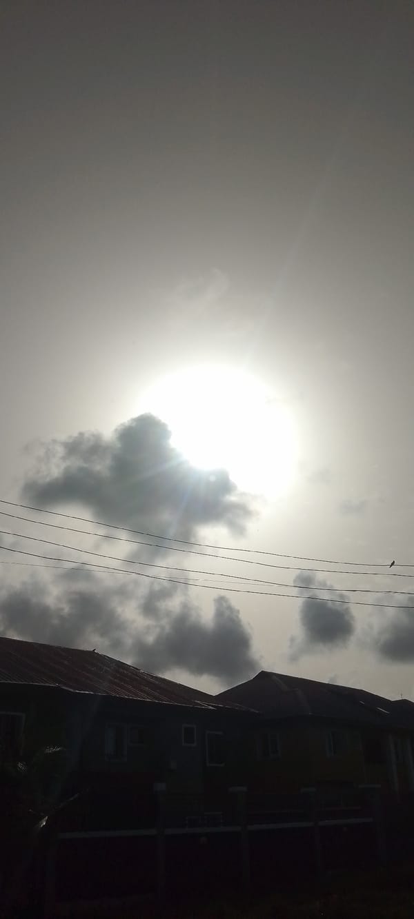 Morning urban scenes document infrastructure, vehicles, construction across multiple locations