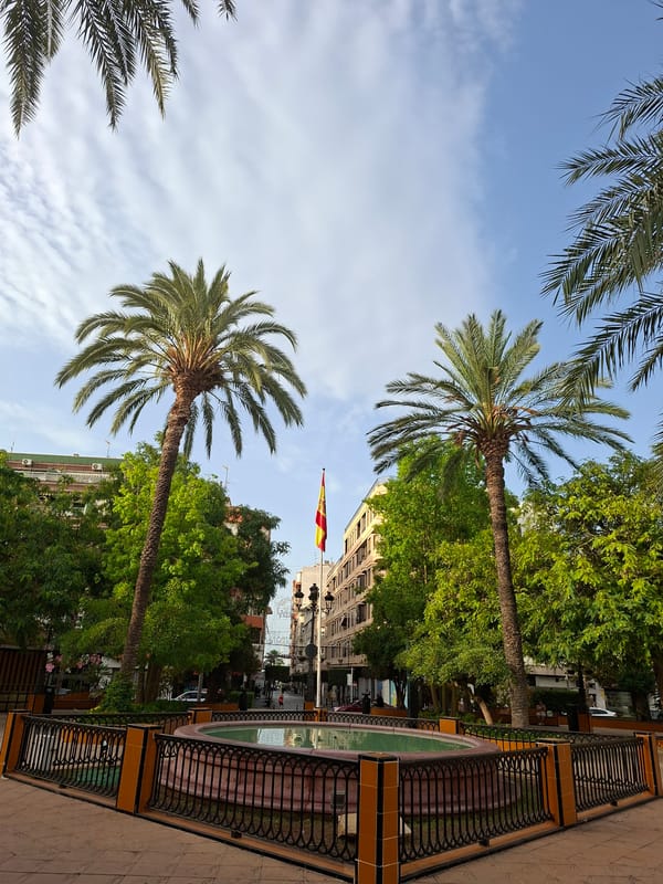 Torrevieja streets decked out with flower canopies and public art