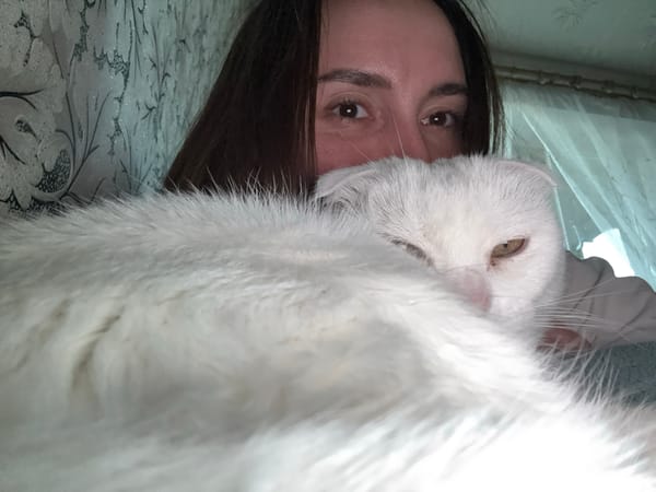 Cat selfie and open sky in Ufa on a summer afternoon