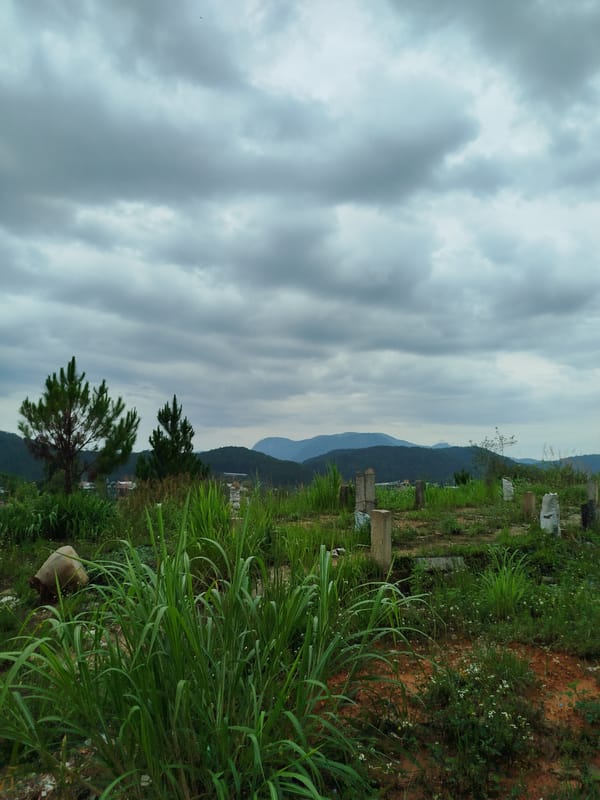 Architectural survey of Da Lat residential buildings documented in Vietnam