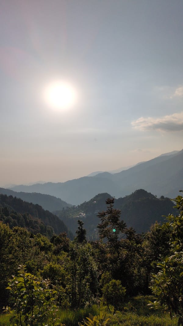 Mountain views and wildlife documented in Haini, India