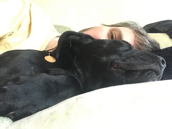 Person shares quiet moment with black Labrador in Kharkiv