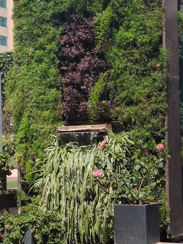 Urban Bengaluru scenes documented: gardens, Ganesha statue, construction activity