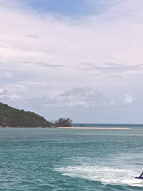 Ferry operates in Thong Sala waters during early morning hours