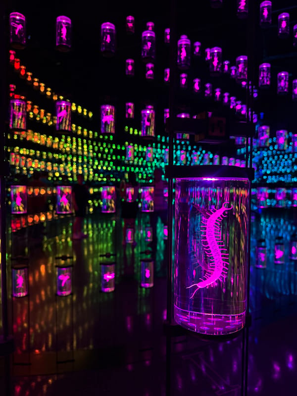 Art installation with glowing pink creature silhouettes spotted in Dubai