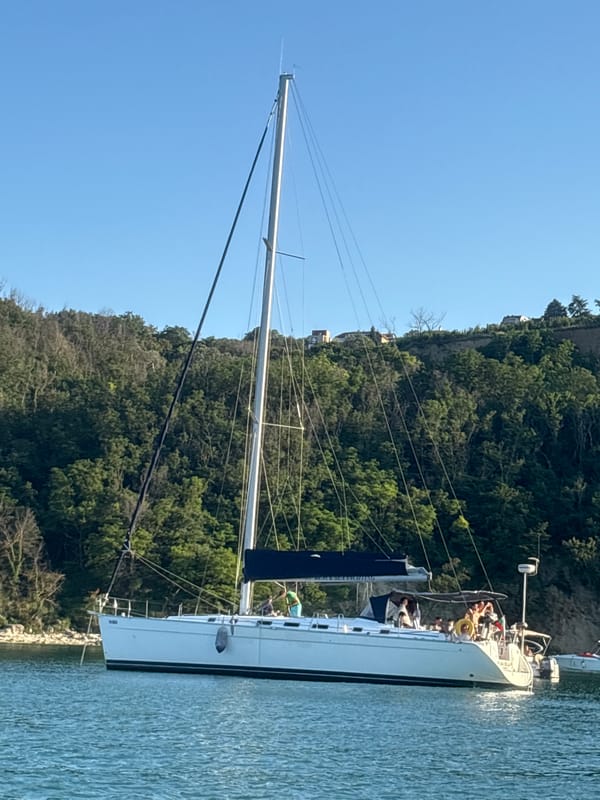 Afternoon on the water: sailboats, paddleboards, and a sunset wedding