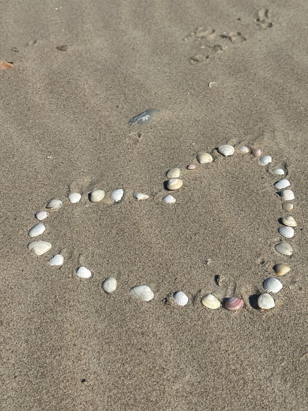 Casual beach scenes documented along Latvia's Baltic coast