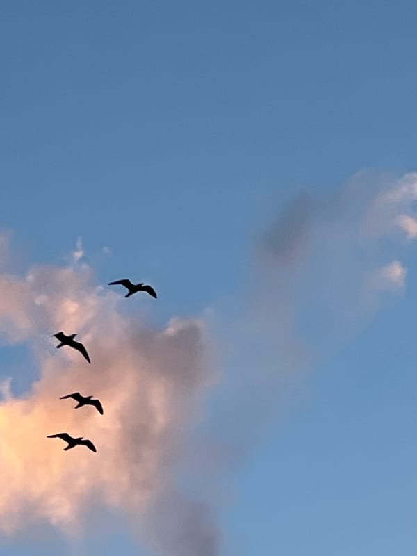 Sky watching session captures changing clouds over Chaikovsky, Russia