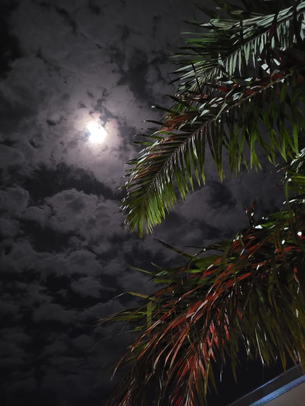 Nighttime scenes and street food captured in Akwanga, Nigeria