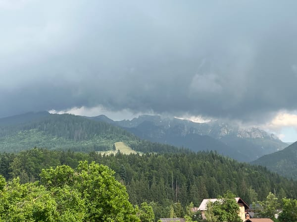 Mountain village and forested hills on a cloudy afternoon