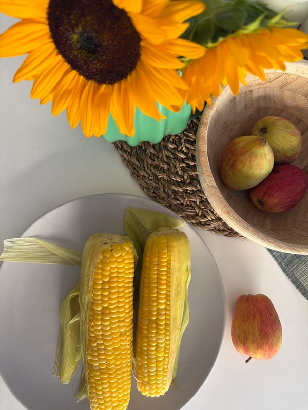 Quiet afternoon with cat and sunflowers in Bat Yam