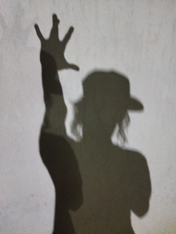 Random nighttime observations recorded in Tinaquillo, Venezuela